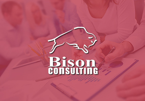 Bison Consulting S.A.